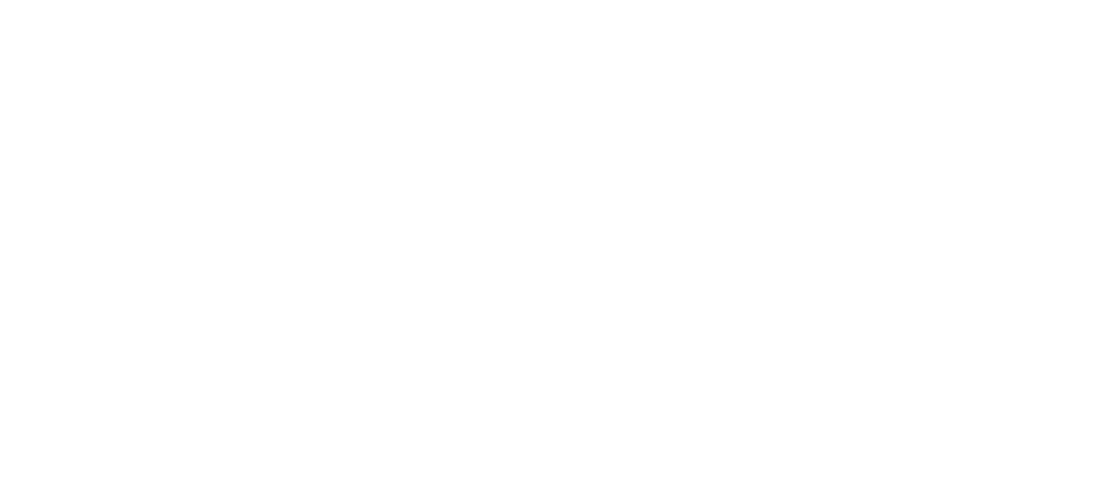 Logo FIT